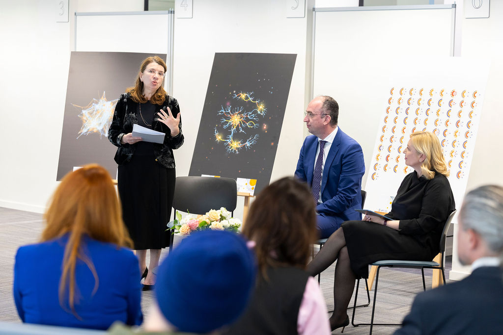 Embassy event photo 2